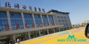 西北妇幼和唐都医院哪家试管婴儿技术更好，成功率有多高？