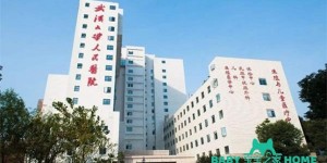 2022武汉人工授精试管婴儿医院排名，附助孕费用和成功率一览