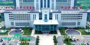 2023武汉供卵试管医院排名榜单揭晓，这4家助孕机构排队时间短