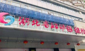 盘点2022年湖北武汉可以做第三代试管男孩的医院名单