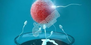 为什么试管都要先移植鲜胚?是什么原因