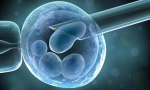 2023最新武汉最大的供卵试管助孕机构一览?附试管费用明细！