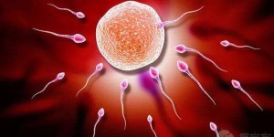 如何增加子宫内膜容受性，提高试管婴儿成功率?