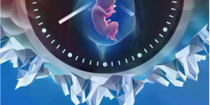 2022东莞妇幼做试管婴儿费用多少？附试管助孕全流程