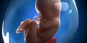 试管婴儿超长方案有啥好处 怎么选促排卵方案