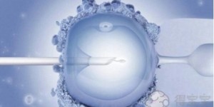 试管婴儿取卵后养囊成功概率是多少？