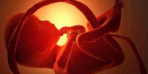 2022年厦门市妇幼保健院做试管婴儿生双胞胎费用清单参考