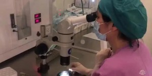 57岁女性能在北京哪家私立医院做试管婴儿？