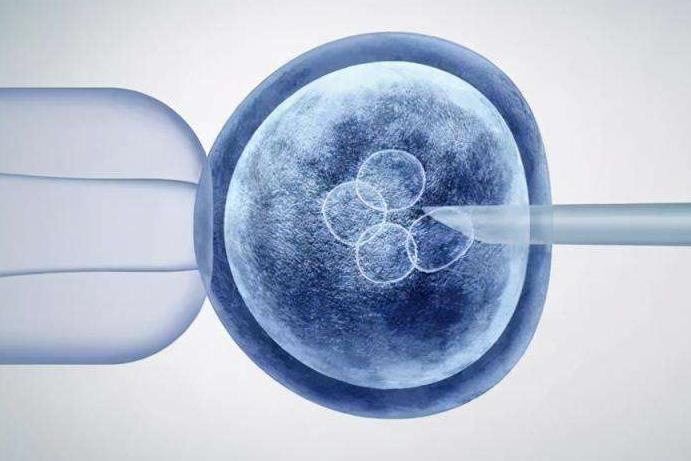 卵巢早衰借卵试管检查项目一览，这几个主要项目一个都不能少！