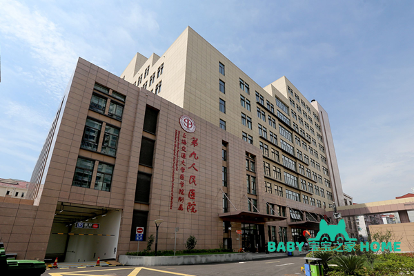 上海第九医院试管婴儿成功率