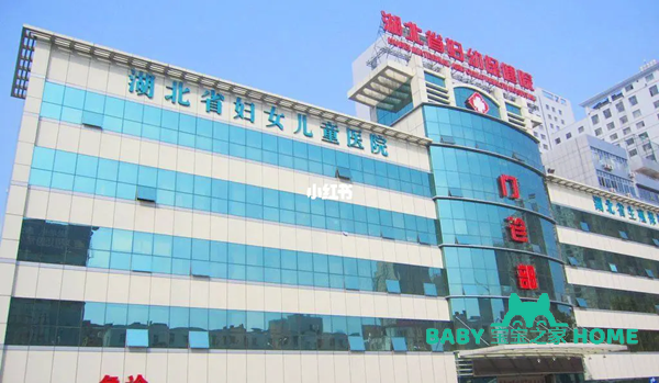 湖北省妇幼保健院试管婴儿费用一览