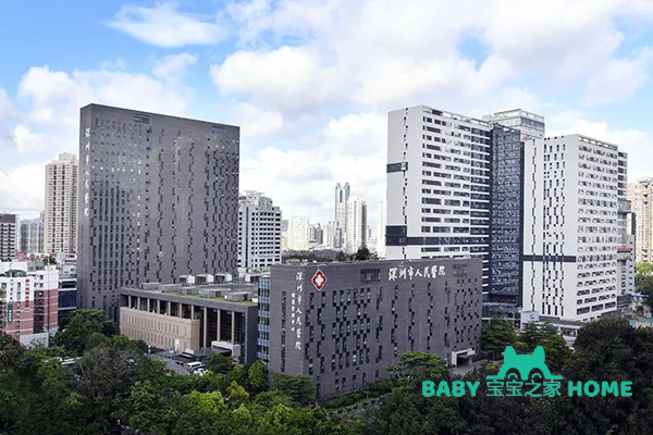 深圳市人民医院做试管婴儿可以生双胞胎男孩吗