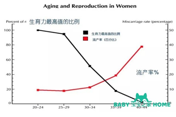 各年龄段女性怀孕成功率一览