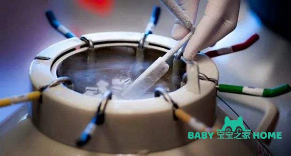 试管鲜胚移植过程详解