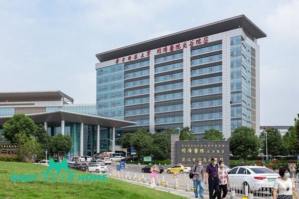 武汉同济医院试管婴儿成功率