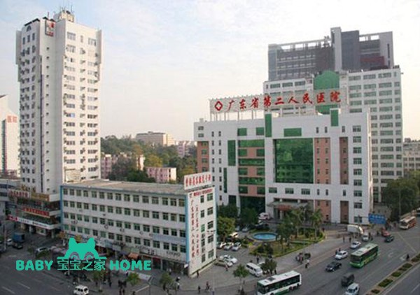 广东省第二人民医院试管婴儿成功率