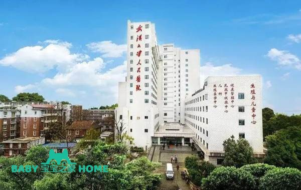 2022武汉大学人民医院做试管婴儿需要多少钱