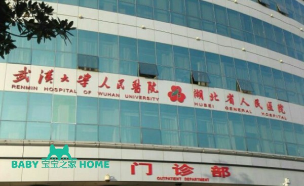 武汉私立医院试管婴儿成功率