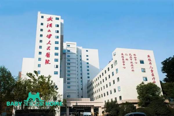 2022在武汉大学人民医院做试管婴儿移植两个胚胎成功率高吗