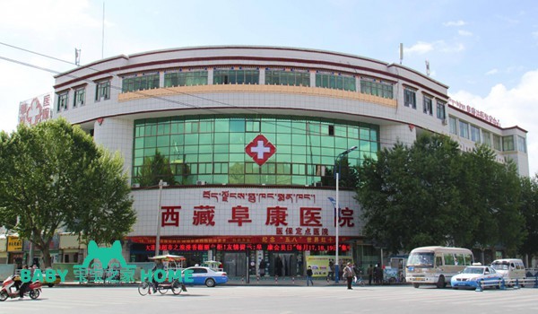 2022西藏试管婴儿医院排名