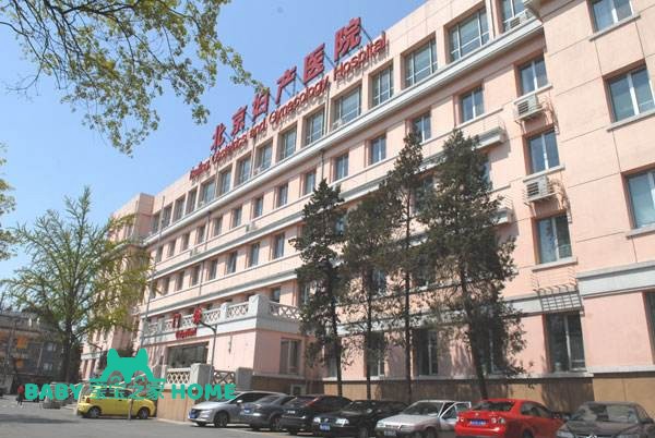 2022北京市妇幼试管婴儿成功率