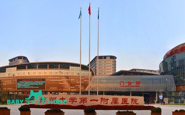 2022郑州大学第一附属医院试管婴儿成功率一览
