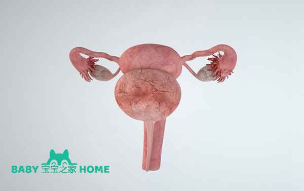 卵巢早衰是申请供卵试管条件之一