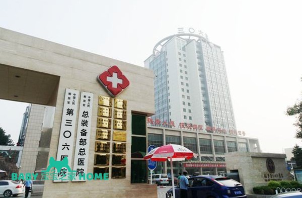 2022北京306医院试管婴儿成功率
