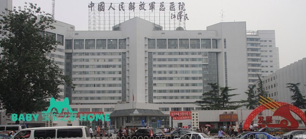 2022北京301医院试管婴儿成功率