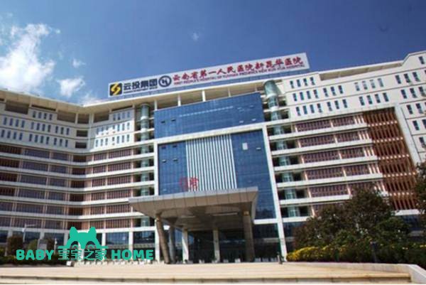 2022云南省第一人民医院试管婴儿生男孩费用一览