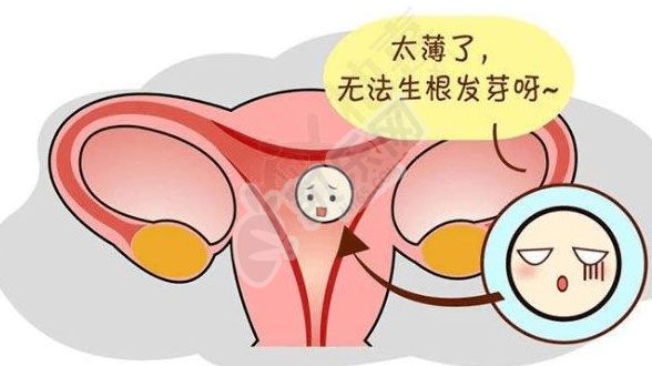 子宫内膜过薄试管成功案例 如何增厚子宫内膜？(图2)