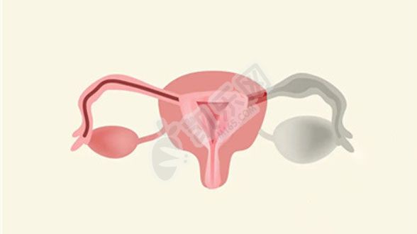一个卵巢还能做试管婴儿吗？会影响成功率吗(图1)