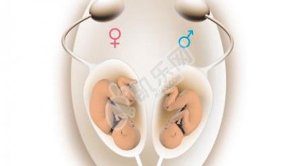 2022供精试管婴儿可以选择男女吗(图2)