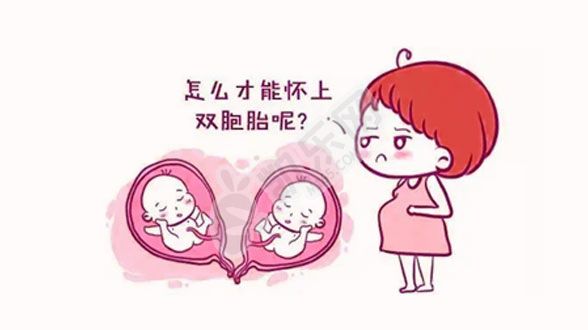 想生双胞胎促排卵方法有哪些？双胞胎对孕妇有哪些危害(图1)