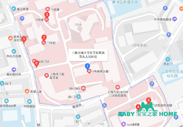上海第九人民医院试管婴儿