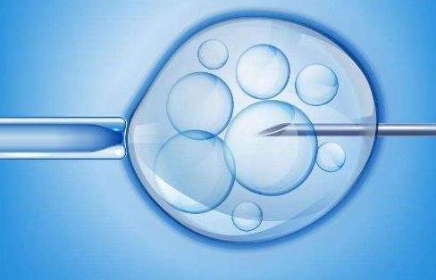 杭州私立供卵试管婴儿医院排名，附供卵生男孩费用参考？