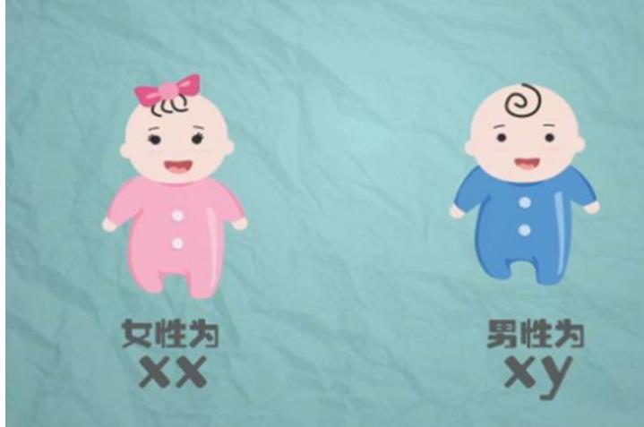 试管婴儿可以选择男孩吗？哪些人群可以选择胎儿性别？