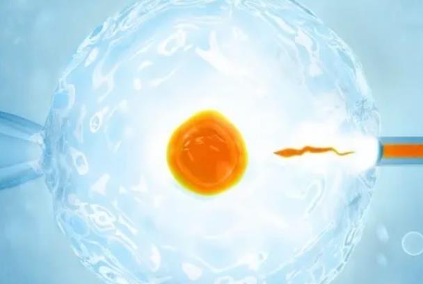 乌鲁木齐供卵试管婴儿医院排名，哪家医院试管成功率最高？