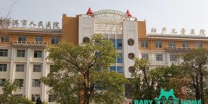 普洱市人民医院妇女儿童医院试管婴儿成功率一览