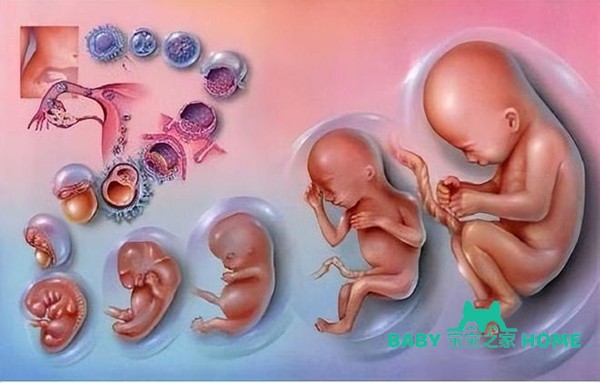 2022广西壮族自治区妇幼保健院试管婴儿生男孩成功率一览