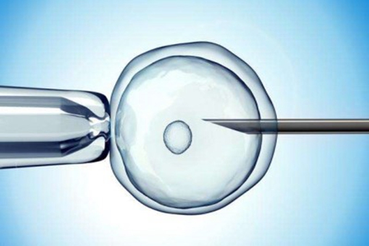 吉林大学第一医院借卵生子试管费用多少钱