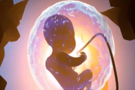 专家解读：试管婴儿监测排卵的目的是什么？附试管前监测排卵时间表