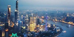 2022在上海九院申请做供精试管要排队吗