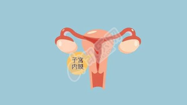 子宫内膜18mm怀孕了有影响吗，子宫内膜18mm能移植胚胎吗？(图1)