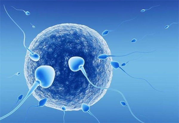 重庆供卵试管婴儿生子医院排名，附试管助孕机构成功率一览！