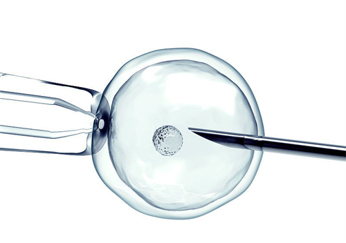 试管优质胚胎养囊也不成功的原因是什么？试管优质胚胎养囊成功率是多少？
