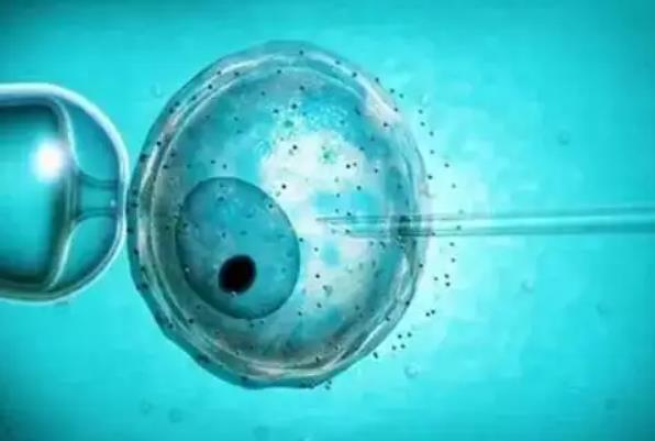 2023仙桃试管婴儿医院名单，供卵试管助孕机构排名！