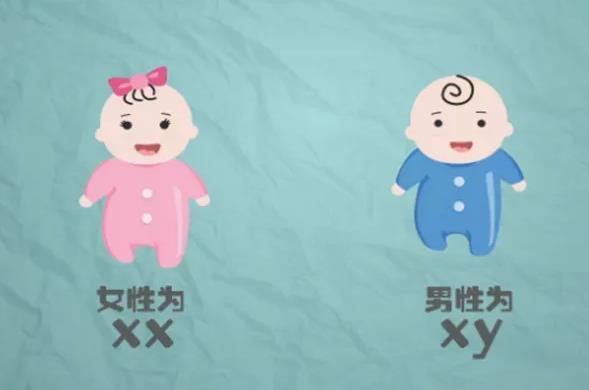 泰国做第三代试管婴儿可以选择宝宝性别吗？