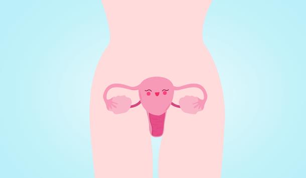 无子宫无阴道的石女患者能通过试管婴儿受孕吗？