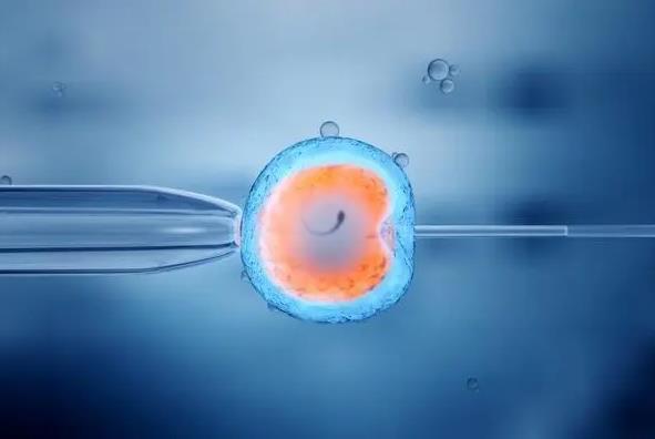 天津医科大学总医院可以做供卵试管婴儿吗？技术怎么样？